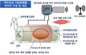 img-fluid rounded-start