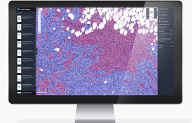 img-fluid rounded-start