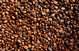 img-fluid rounded-start