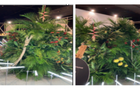 img-fluid rounded-start